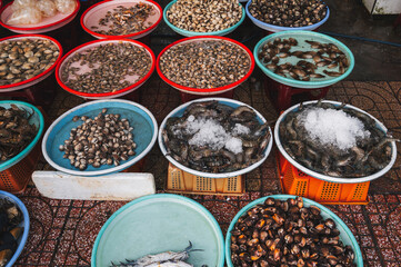 Fresh edible snails at a local market in Nha Trang, Vietnam.