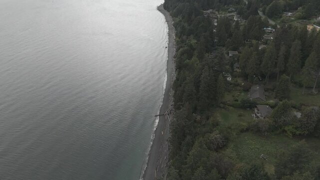 Aerial footage of the dense evergreen and driftwood on the Sunshine Coast in Gibsons, Canada