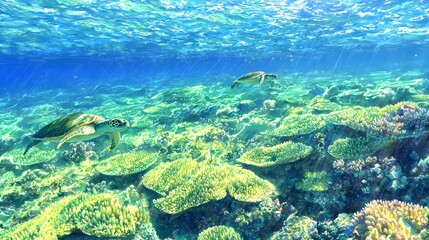 Naklejka premium Tropical Sea Turtles Swimming Coral Reef Underwater Scene