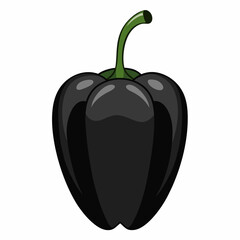 black pepper vector