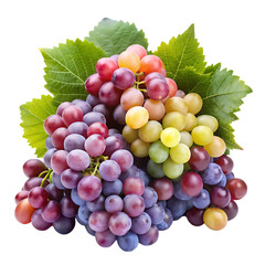 Fototapeta premium bunch of red grapes
