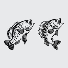 Crappie fish image silhouette vector art and illustration
