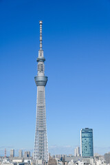 Obraz premium 東京都の都市風景とスカイツリー