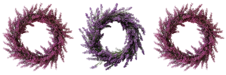 set of A purple heather wreath on a Transparent Background