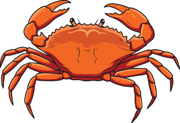 Detailed Vector Illustration of a Vibrant Orange Crab