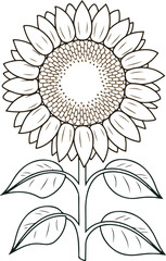 Line art of sunflower on white background vector silhouette