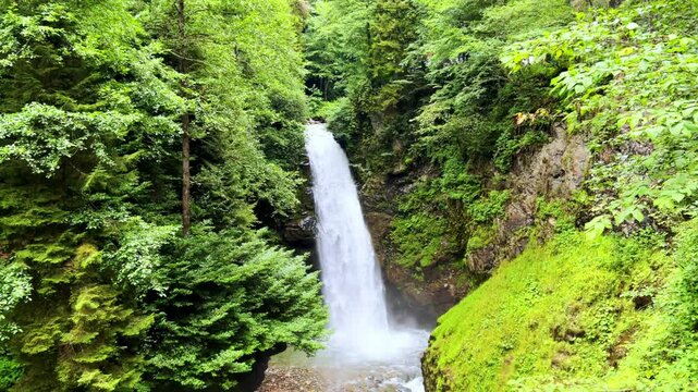 Palovit waterfall surrounded by greenery, from the Turkish city of Rize in summer. A stream flows from the waterfall. The powerful Palovit waterfall in Kakkarlar, Rize province in Turkey. White foam. 