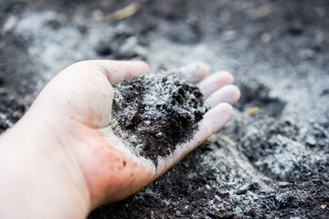 Hand holding rock dust for soil improvement in a raised garden bed