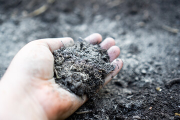 Hand holding rock dust for soil improvement in a raised garden bed