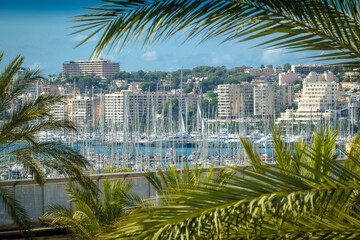 View to marina and Paseo Maritimo which is a nice boardwalk in Palma de Mallorca