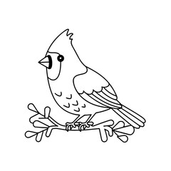 Baby Cardinal  line art vector design