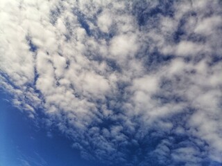 Fototapeta premium blue sky with clouds