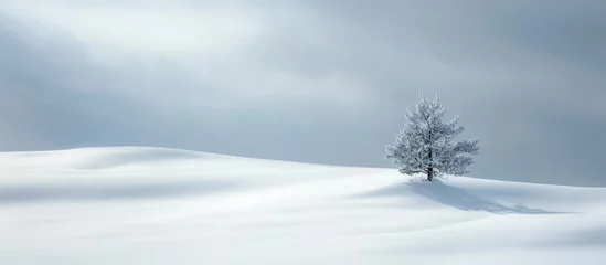  Solitary tree in a serene winter landscape surrounded by soft, undisturbed snow under a moody overcast sky © NeuralNiche