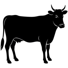 silhouette of a cow