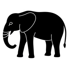 elephant illustration