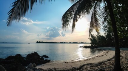 Panoramic silhouette view of a tranquil beach with palm trees and gentle waves during sunset