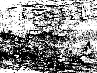 Fototapeta premium Close up texture of a wood surface on transparent background, to add grunge effect on your design