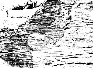 Abstract concrete wall texture with transparent background. Dust Overlay Distress Grain , Create grungy, dirty, dusty texture effect 