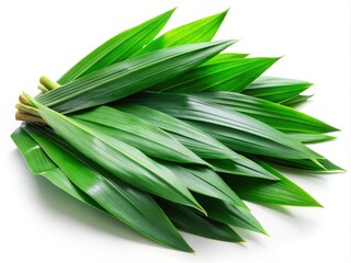 Obraz premium Fresh Pandan Leaves Isolated, High-Resolution Stock Photo, Culinary Herb, Asian Cuisine Ingredient, Food Photography, White Background