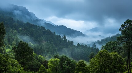 Obraz premium MistCovered Mountain Forest with Lush Green Trees and Moody Atmospheric Ambiance : Generative AI