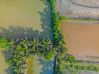 Palm Patterns: The Crossroads of Land and Water in Abhaynagar