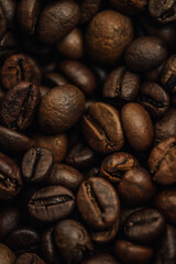 macro photography coffee beans close-up, food and drinks, cheerful morning, free space for text