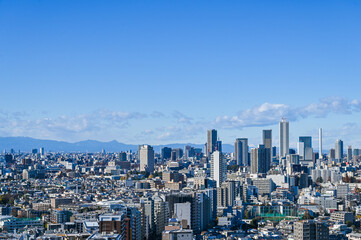 Fototapeta premium 東京の都市風景