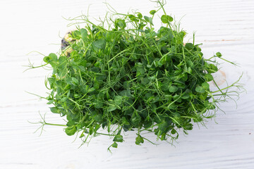 Organic microgreen pea photography . Healthy food . Top view