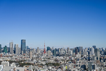 Obraz premium 東京の都市風景