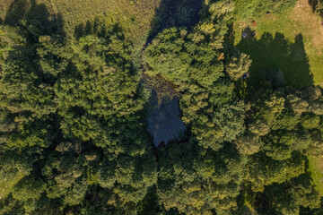 A small lake surrounded by forest. Top-down view, drone shot.