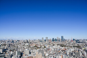 Obraz premium 東京の都市風景