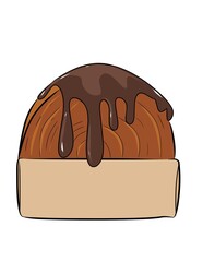 chocolate cake on a white background