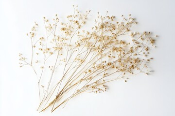 Obraz premium A collection of delicate dried flowers arranged elegantly on a surface, exemplifying themes of nature, minimalism, and the beauty of simplicity in floristic design.