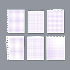 Notebook or book page, Sheets from notebook, Vector illustration