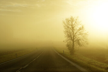 Golden fog from the car window