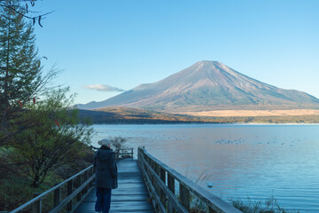 
Morning beauty of Mt. Fuji and Lake Yamanaka, the largest of the five lakes surrounding Mt. Fuji, during autumn foliage season, Yamanashi Prefecture, Japan