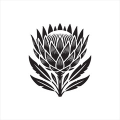 lotus flower isolated on white