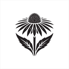 black and white flower