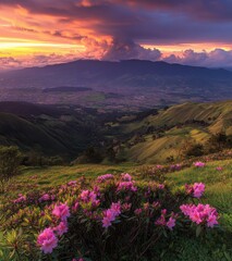 Fototapeta premium Breathtaking Sunset Over Lush Mountains Filled with Vibrant Pink Flowers and Dramatic Cloud Formation, Capturing the Beauty of Nature's Tranquility and Wildness