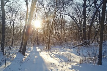 Obraz premium The sun rises over a snow-covered forest, casting long shadows and a golden hue across the landscape, symbolizing the hope and beauty of a new day in winter.