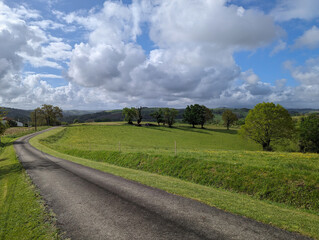 Em meio a pastos verdejantes, uma estrada asfaltada ladeada por algumas árvores sob um céu parcialmente nublado