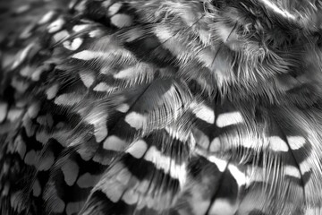 Detailed portrait of a great grey owl showcasing soft feather textures and cool tones