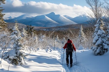 A lone hiker dressed in red trekking through a pristine snowy mountain landscape, surrounded by snow-covered trees and a majestic range in the background.
