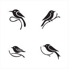 Fototapeta premium four black color bird silhouettes sitting on branches with vector eps illustrations on a white background high-quality fully editable file 