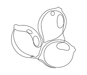 Several lemons isolated on white background. Simple silhouette of citrus fruits. Hand drawn outline of lemons. Vector illustration