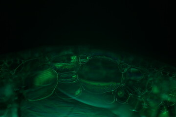 Green liquid toxic pattern, fantastic bubbles connections, fluid movement, dark fantastic...
