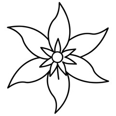 black and white flower