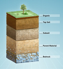 Layers of soil