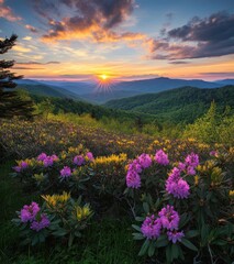 Fototapeta premium Vibrant Sunrise Over Mountain Landscape with Colorful Wildflowers and Lush Green Forest in the Background Creating a Breathtaking Scenic View