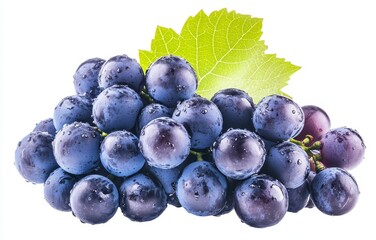Fresh juicy dark grapes with water droplets and green leaf isolated on white background.